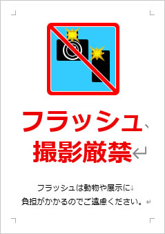 フラッシュ撮影厳禁の張り紙画像3